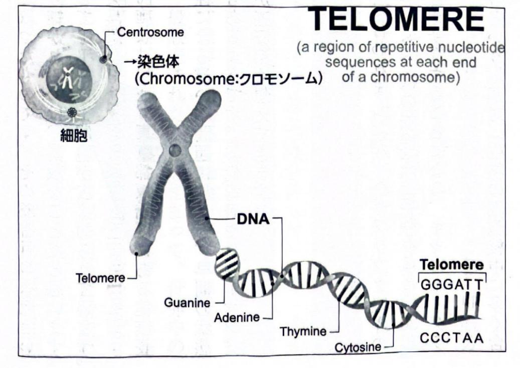 Alt text